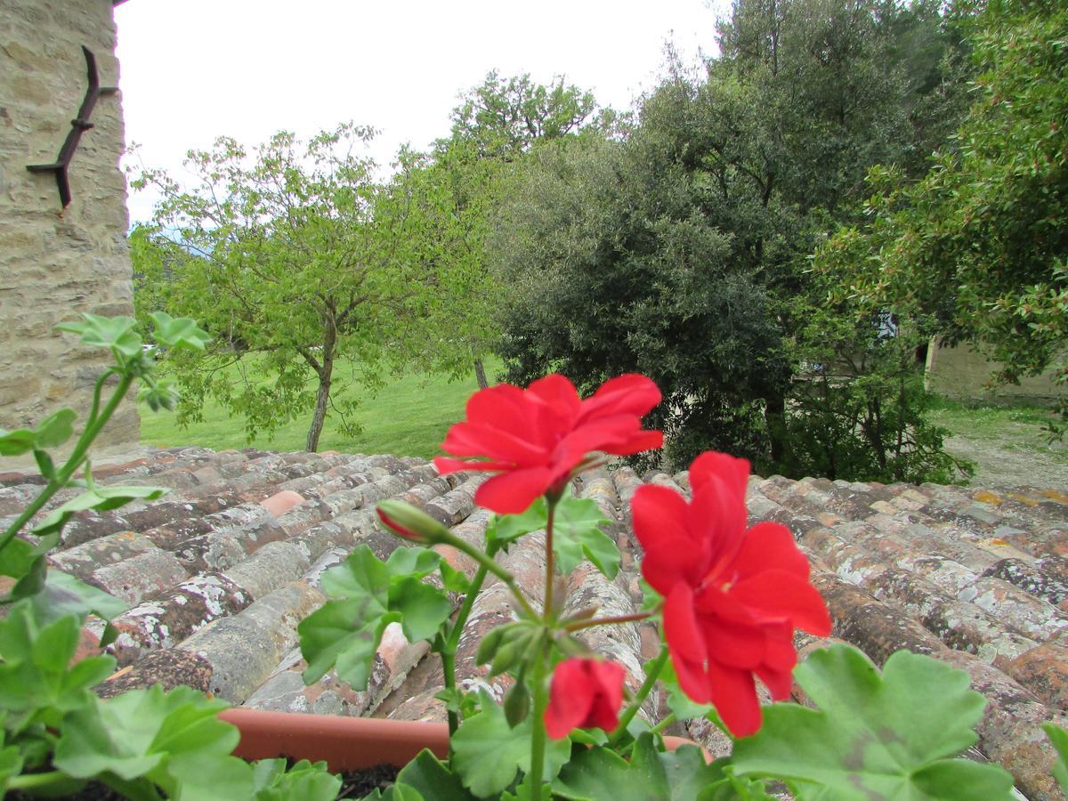 Le Querce Di Campolungo Bed & Breakfast San Giustino Екстериор снимка