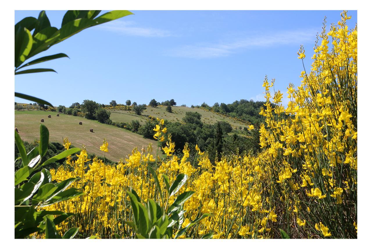 Le Querce Di Campolungo Bed & Breakfast San Giustino Екстериор снимка